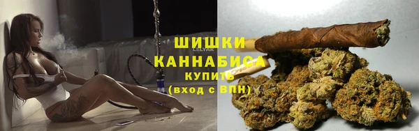 кокс Белокуриха